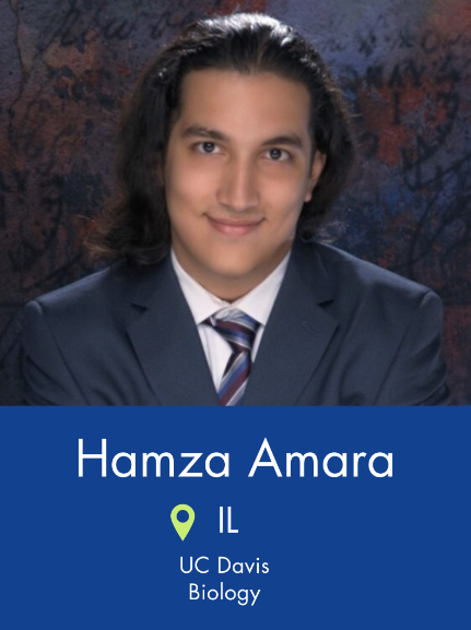 Hamza Portrait